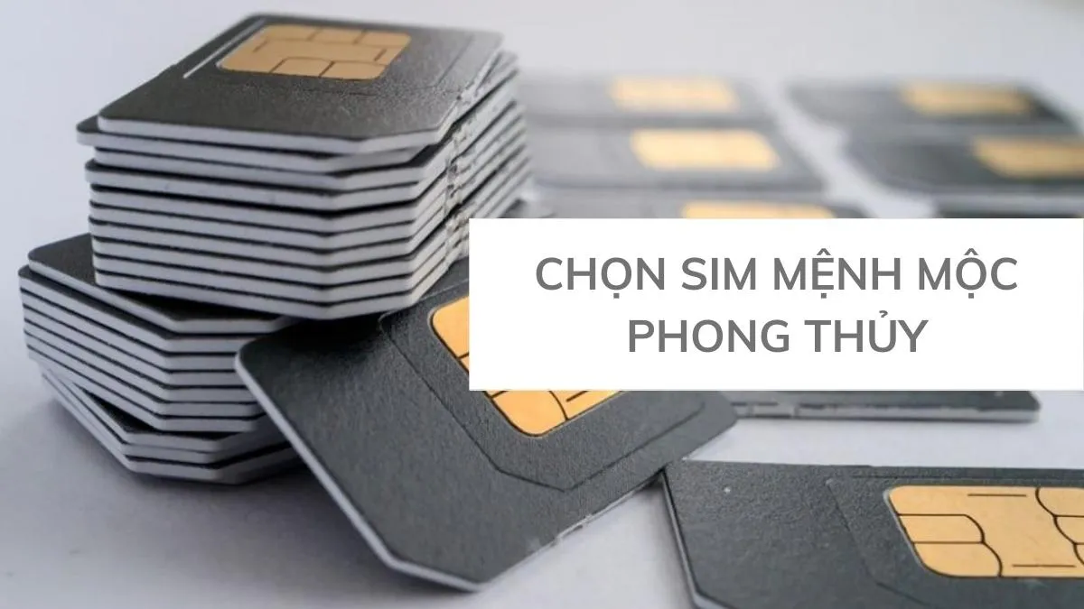 Mệnh Mộc hợp số nào theo phong thủy