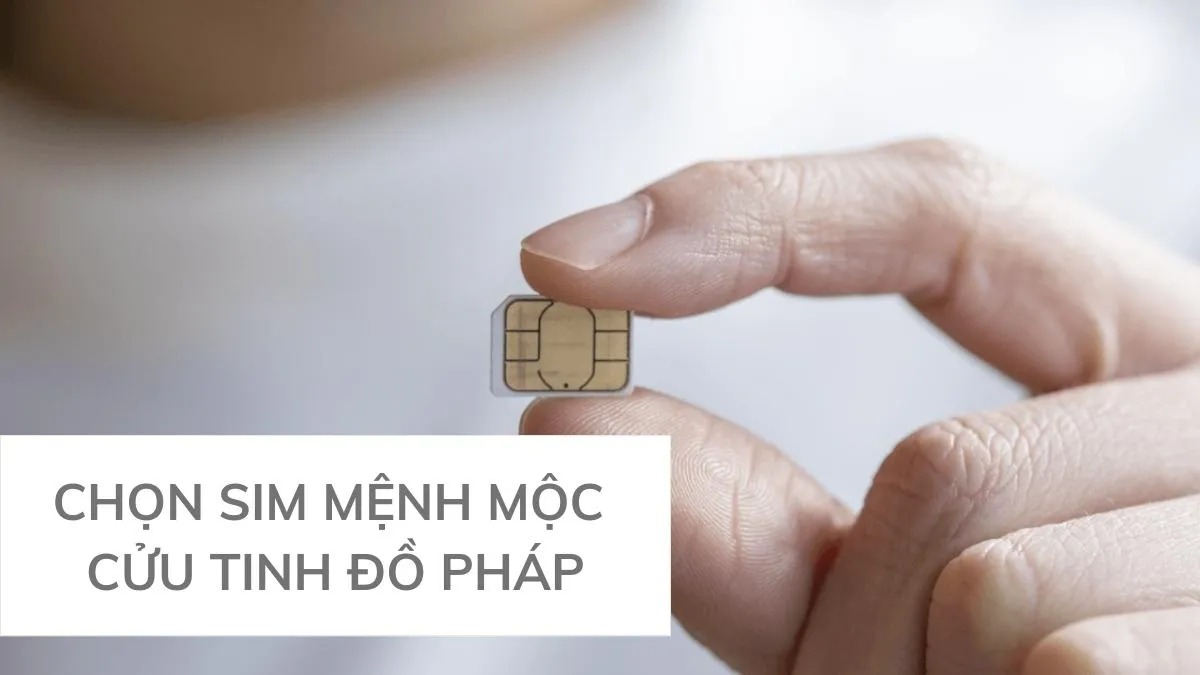 Mệnh Mộc hợp số nào theo cửu tinh đồ pháp