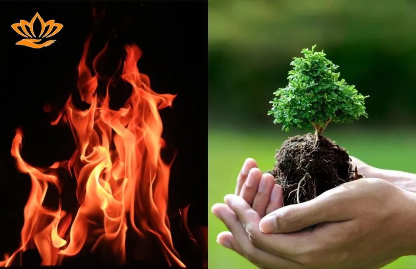 Mối quan hệ tương sinh giữa mệnh Mộc và mệnh Hỏa trong ngũ hành