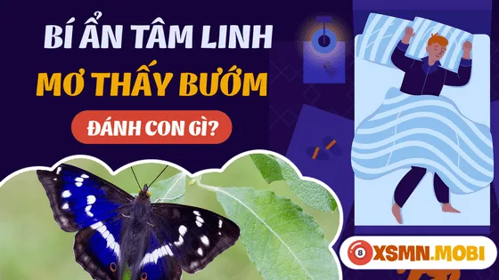 Mơ thấy bướm đánh số mấy cho chuẩn