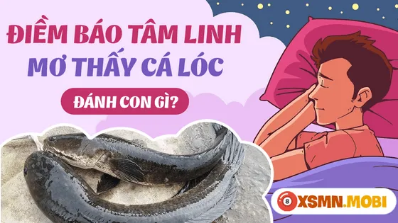 Ngủ mơ thấy cá lóc đánh con gì dễ trúng số?