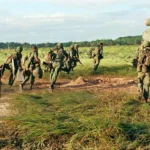 Mơ mình tham gia chiến tranh báo hiệu bạn cần sống chính kiến hơn