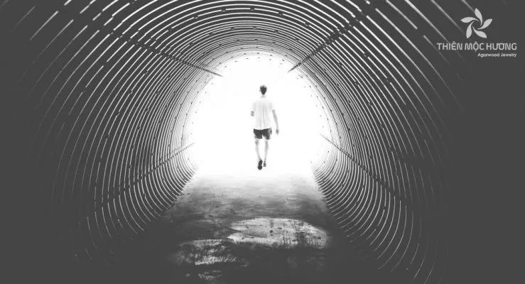 mô tả quá trình hình thành trầm hương từ cây dó bầu