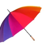 Ô dù trong giấc mơ phản ánh khả năng che chở và thích nghi