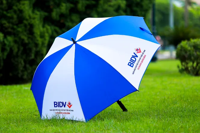 Ô dù hỏng trong mơ cảnh báo thiếu chuẩn bị