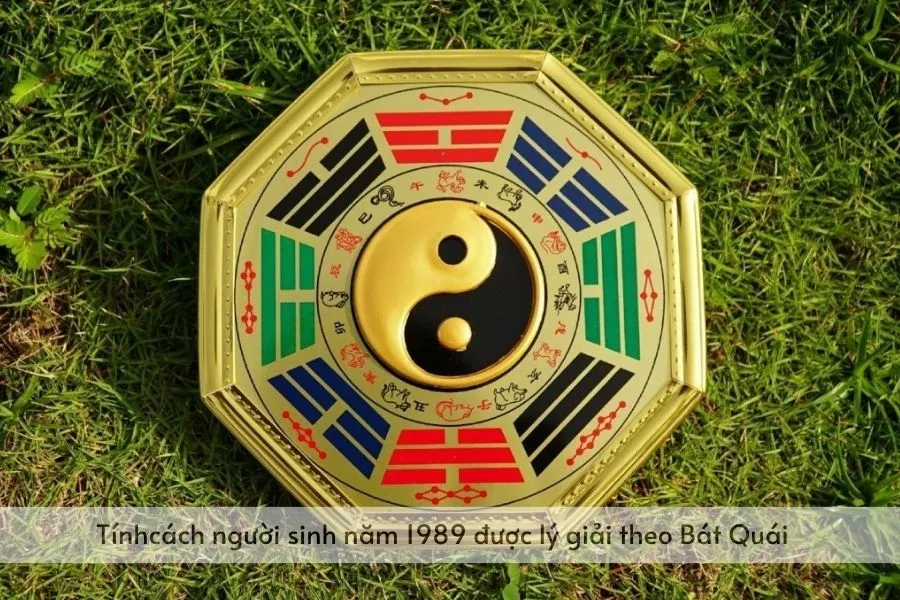 Sự khác biệt cung mệnh giữa nam và nữ Kỷ Tỵ 1989 trong phong thủy ứng dụng