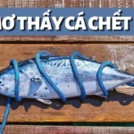 Mơ thấy một con cá chết cảnh báo về những trục trặc nhỏ trong công việc
