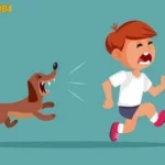 nam mo thay cho duoi danh con gi chuan nhat