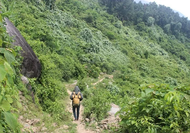 Giấc mơ có người giúp thoát khỏi rừng