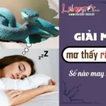 Chuyên gia giải mã ý nghĩa chiêm bao thấy đại xà khổng lồ theo nguyên lý phong thủy