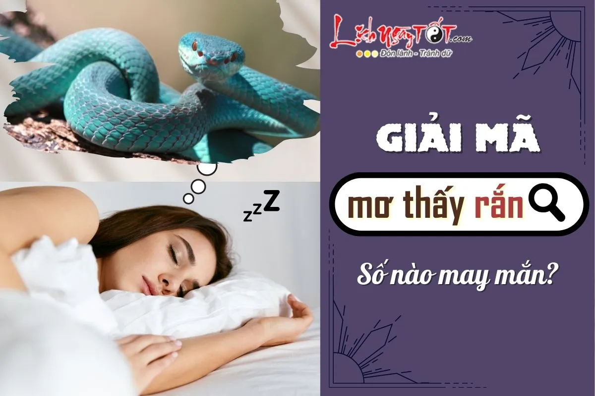 Chuyên gia giải mã ý nghĩa chiêm bao thấy đại xà khổng lồ theo nguyên lý phong thủy