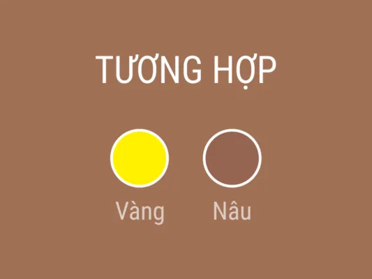 Tỳ hưu màu vàng nâu tương hợp tuyệt vời cho bản mệnh Thổ