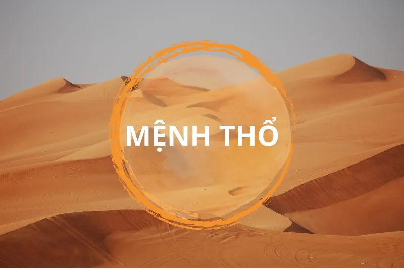 Người mệnh Thổ nên chọn cây gì để bàn làm việc