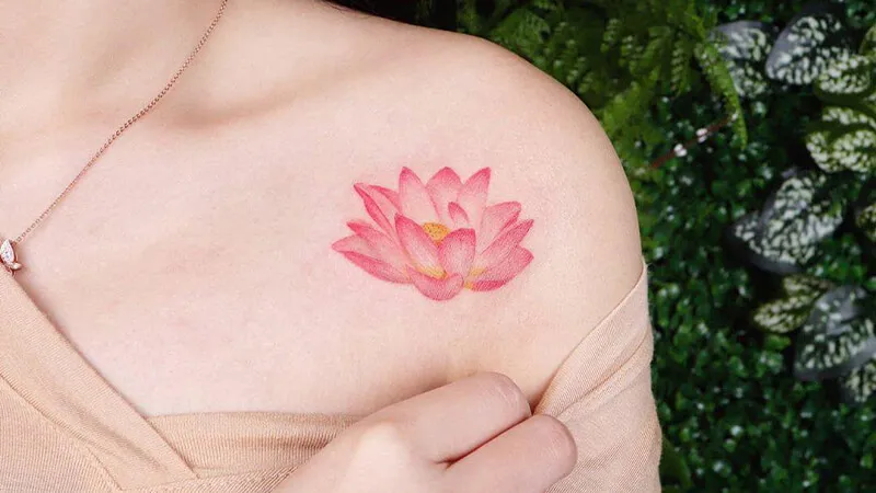 Hoa sen màu hồng thuộc mệnh Hỏa hợp với mệnh Thổ