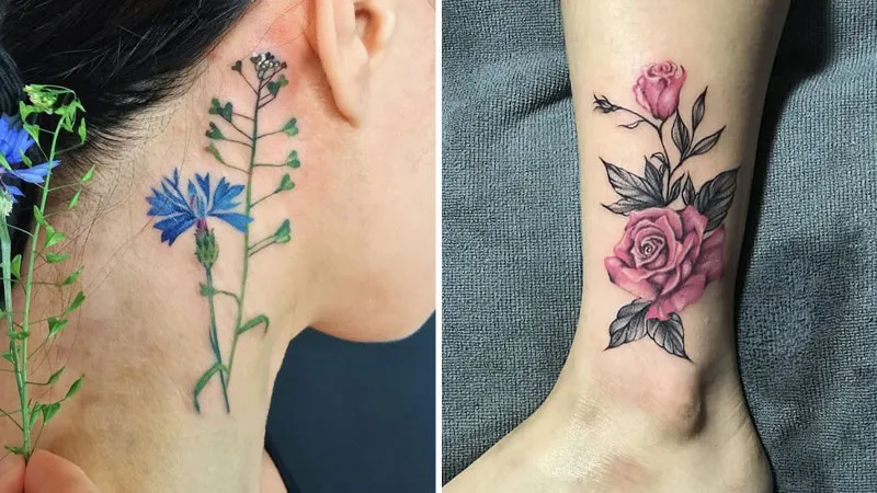 Hoa lá màu rực rỡ mang năng lượng Hỏa