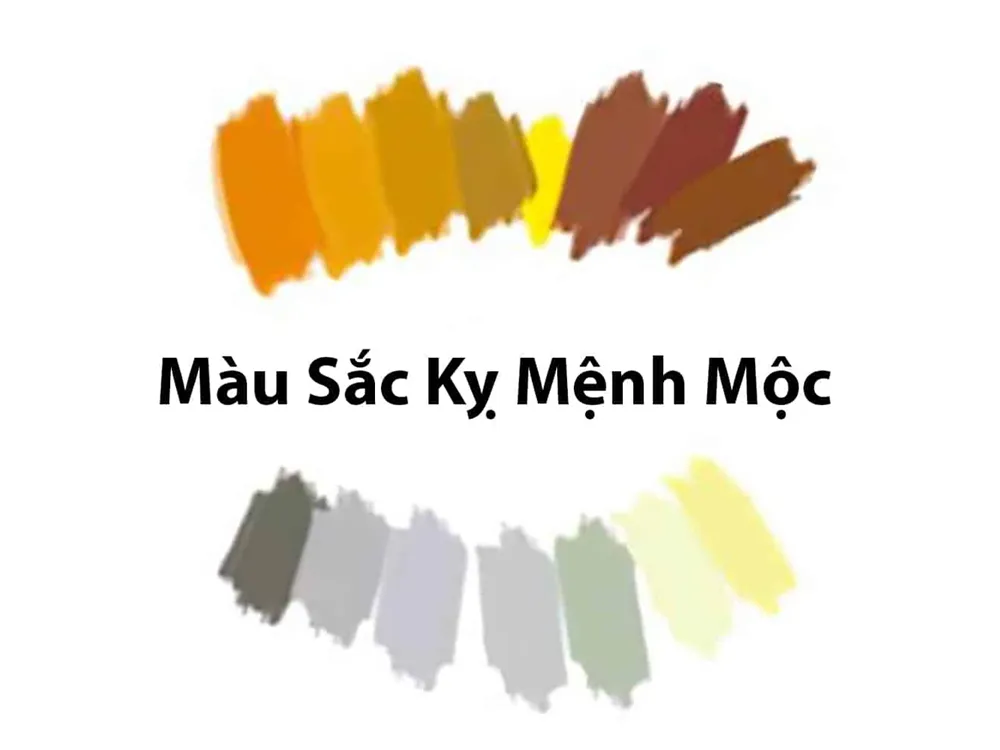 Bảng màu kỵ mệnh Mộc cần lưu ý
