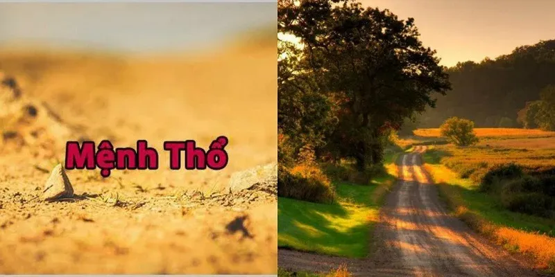 Những người mệnh thổ thường hiền lành nhưng tiềm ẩn sức mạnh mạnh mẽ