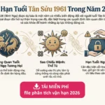 Phân tích vận hạn nam mạng Tân Sửu 1961 năm 2026