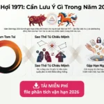 Phân tích vận hạn tuổi 1971