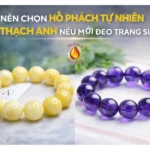 Hổ Phách Hoàng Gia Là Gì? Đặc Điểm Nhận Biết Dễ Hiểu Nhất