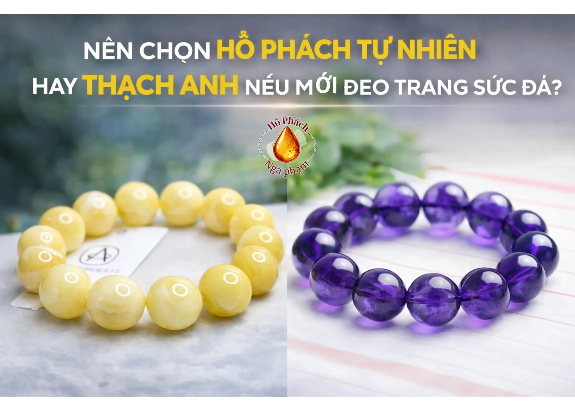Hổ Phách Màu Nào Đắt Nhất? Cập Nhật Giá Trị Thị Trường 2026 6 Hổ Phách Hoàng Gia Là Gì? Đặc Điểm Nhận Biết Dễ Hiểu Nhất