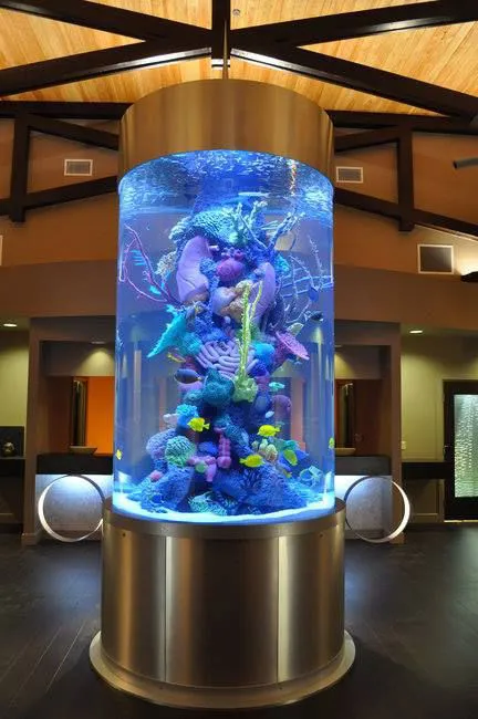 Việc trang trí bể cá hợp phong thủy có tác dụng mang đến bình an và may mắn cho gia chủ