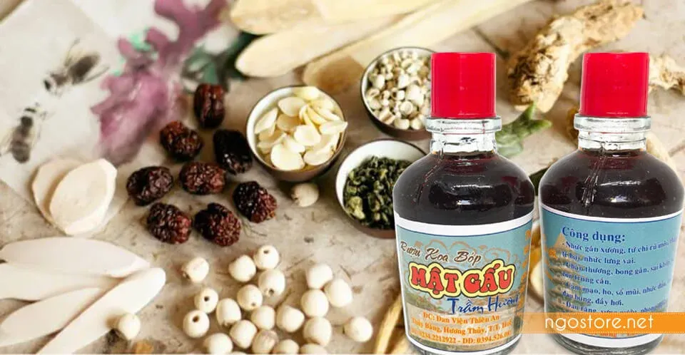 Rượu Xoa Bóp Mật Gấu Trầm Hương Huế: Giải Pháp Thảo Dược Cho Xương Khớp 2026 4 rượu xoa bóp mật gấu trầm hương