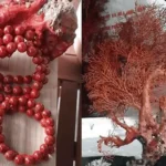 Cấu trúc tự nhiên của san hô đỏ với vân đặc trưng