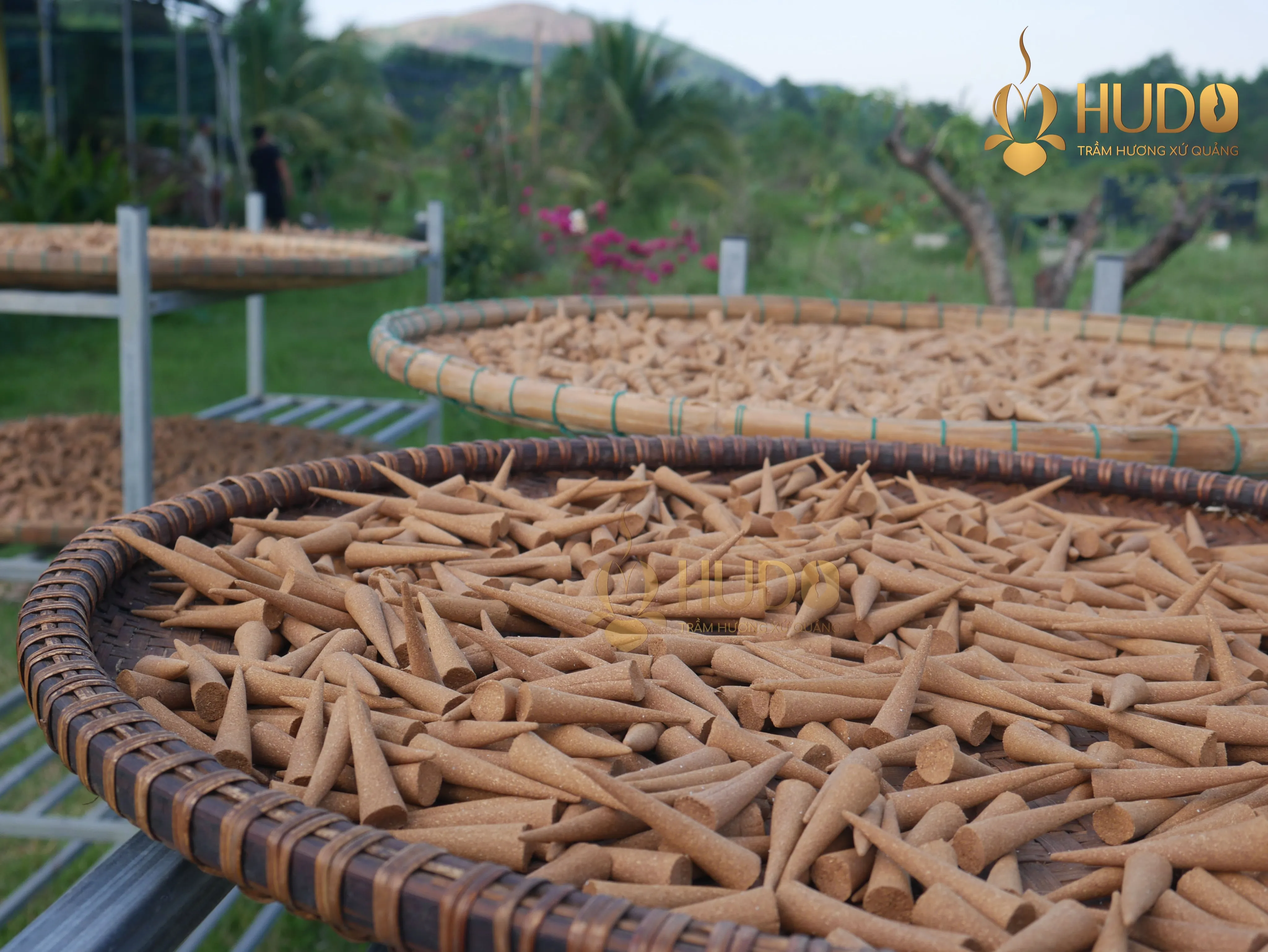 Quy trình sản xuất trầm hương sạch