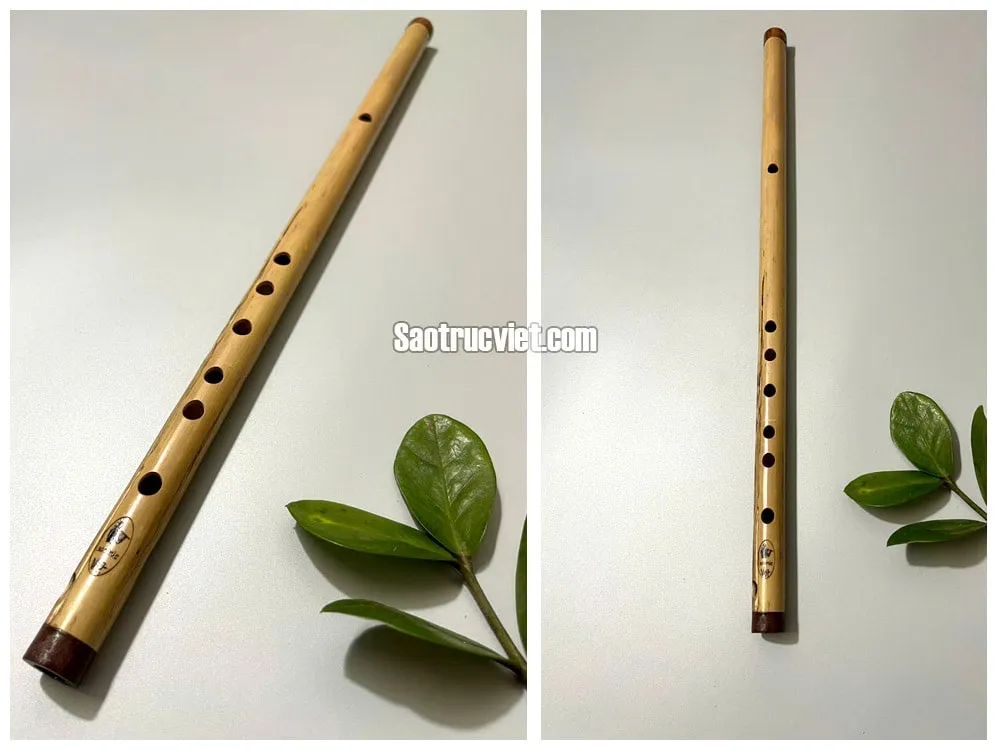 Sáo nứa bắc plus dùng để thổi giấc mơ trưa cảm âm