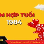 Sim phong thủy hợp tuổi 1984