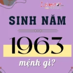 Bản mệnh người sinh năm 1963 tuổi con gì và ngũ hành Kim Bạch Kim