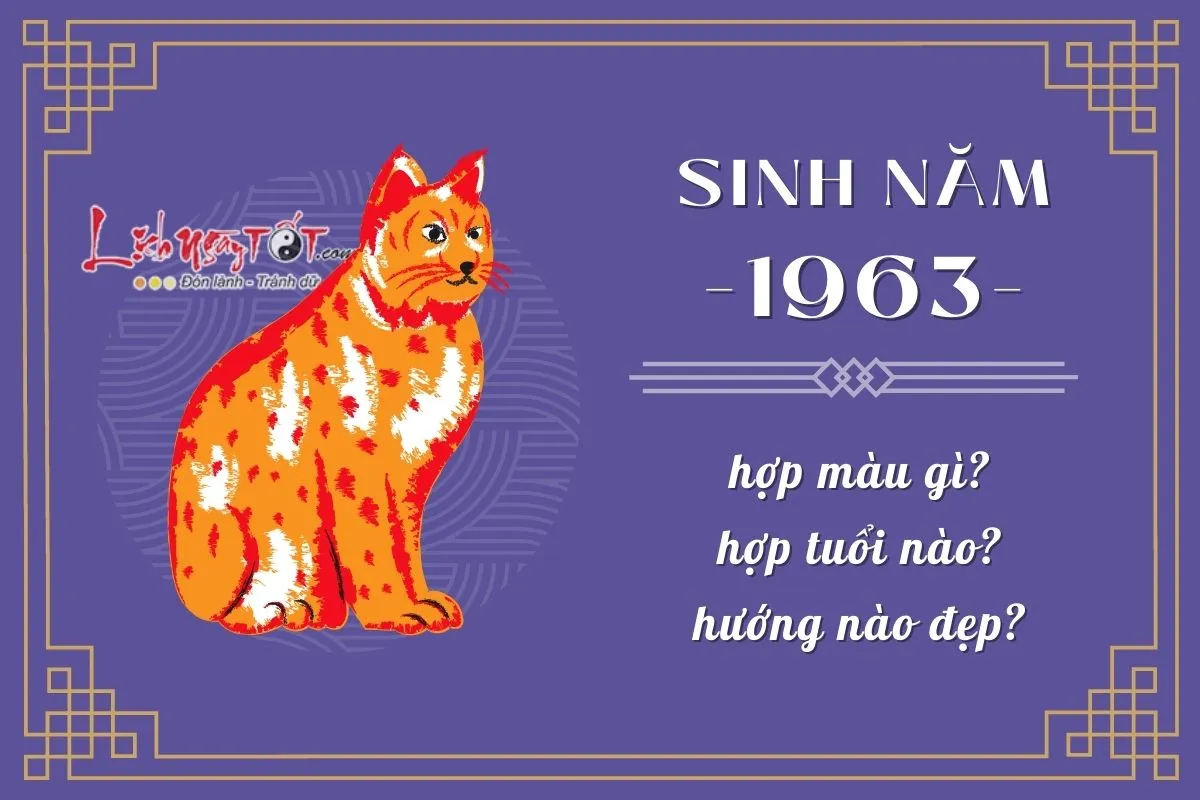 Hình ảnh minh họa người sinh năm 1963 tuổi con gì