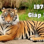 Sinh nam 1974 la tuoi gi