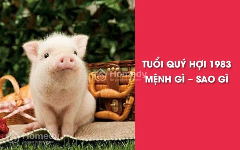 Tuổi 1983 hợp hướng nhà nào