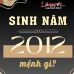 Sinh nam 2012 menh gi
