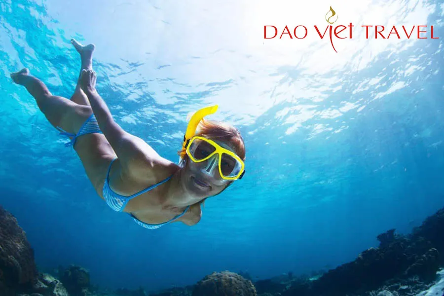 Hòa mình vào đại dương ngắm san hô chắc hẳn là một trải nghiệm vô cùng tuyệt vời