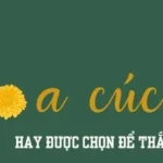 Bình hoa cúc vàng đại đóa trang nghiêm trên bàn thờ gia tiên