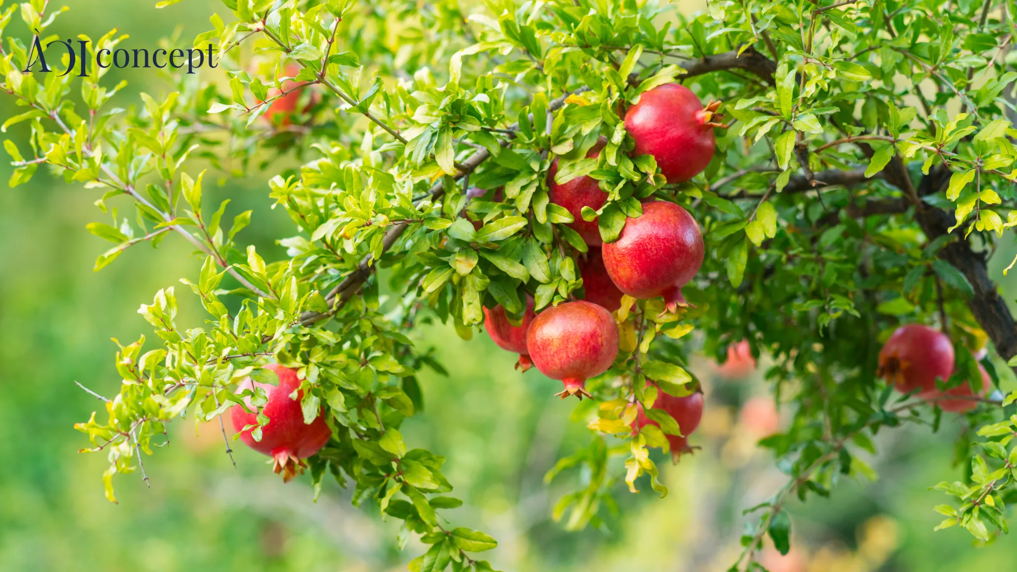 Bố trí cây xanh trong phòng khách chuẩn phong thủy giúp gia tăng tài vận cho tuổi Tân Dậu