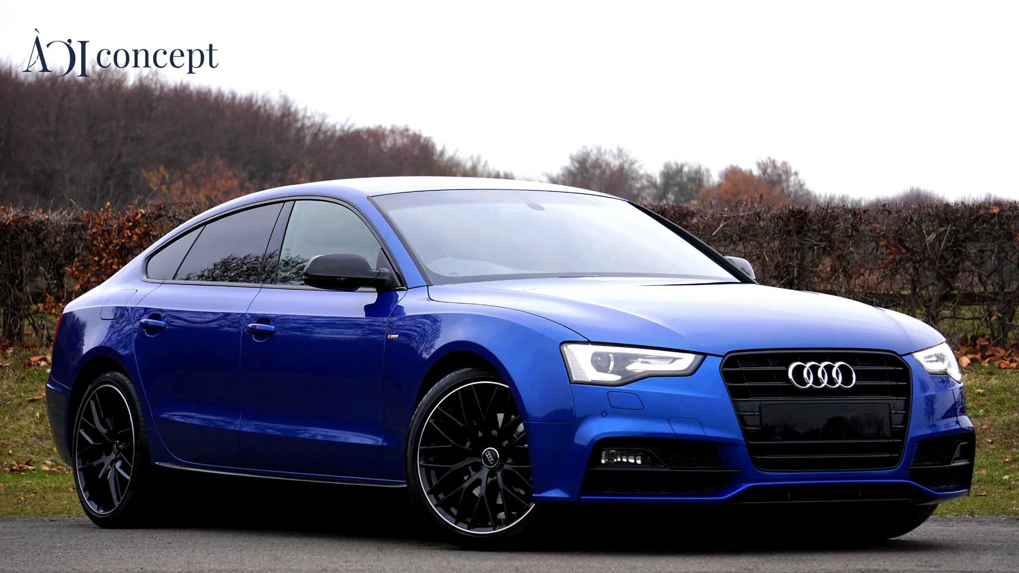 Tư vấn chọn phụ kiện phong thủy đi kèm để kích hoạt tối đa công năng của cây cảnh