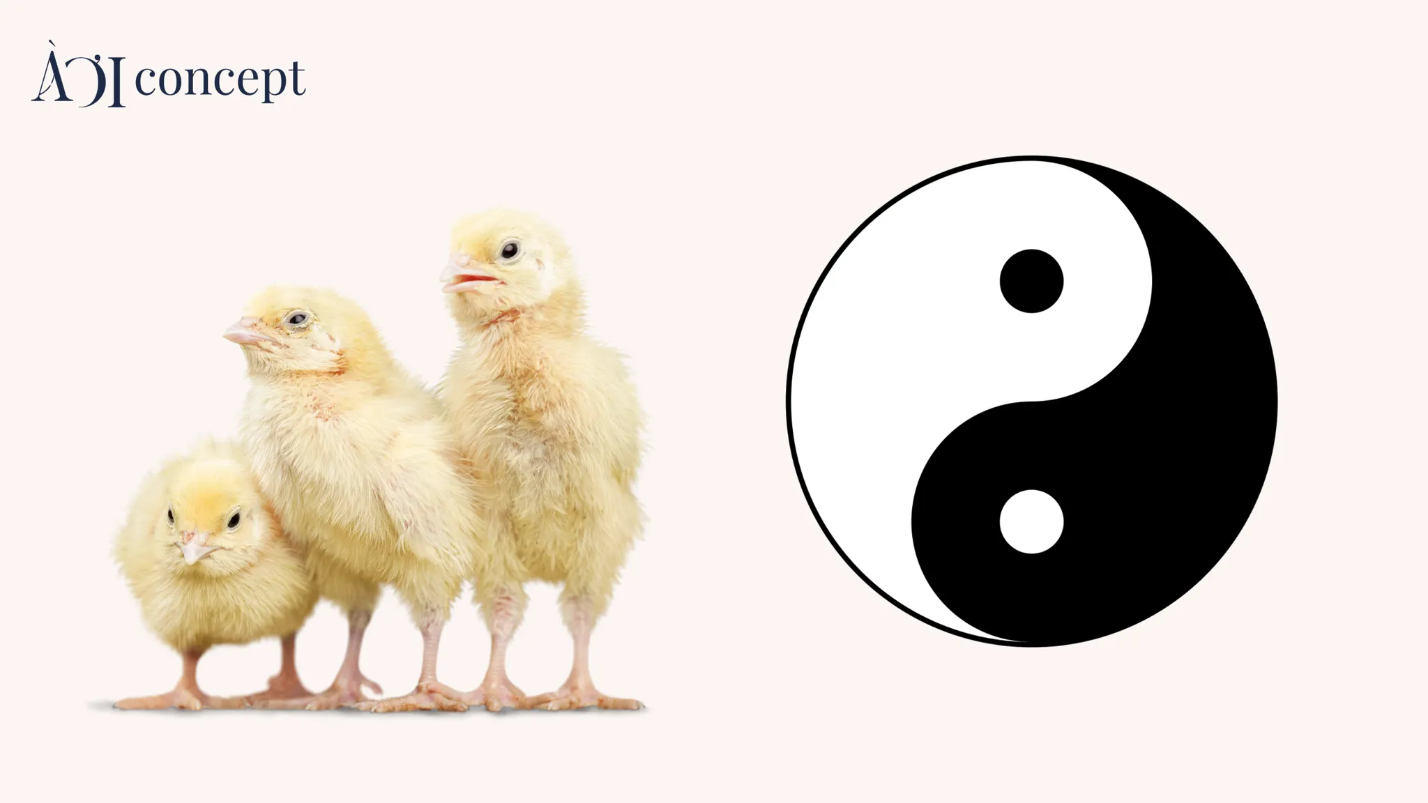 Hình minh họa về sự tương quan giữa hành Mộc và các yếu tố phong thủy bổ trợ cho tuổi Tân Dậu