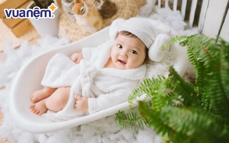 Sự nghiệp người mệnh Mộc phát triển mạnh