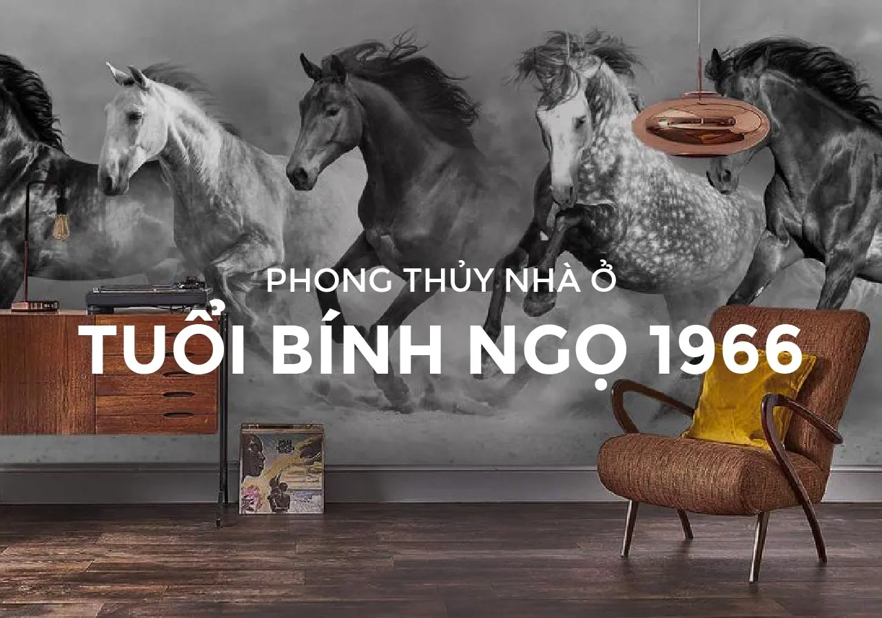 Hướng nhà tuổi Ngọ 1966 theo phong thủy