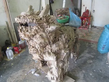 tram canh hinh su tu