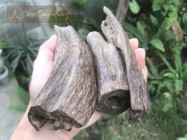 hình ảnh phôi trầm chìm indonesia