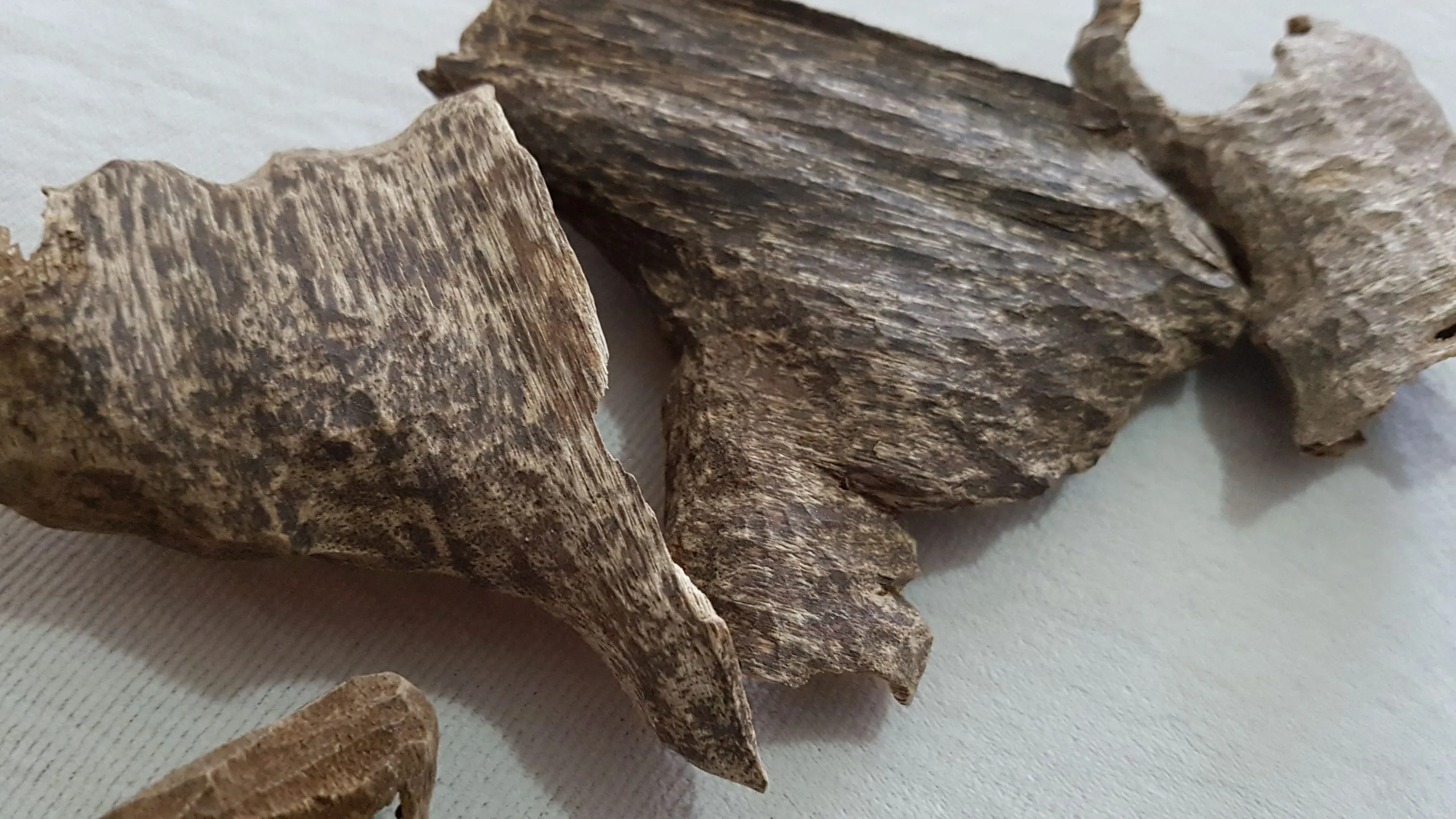 trầm hương lào 1