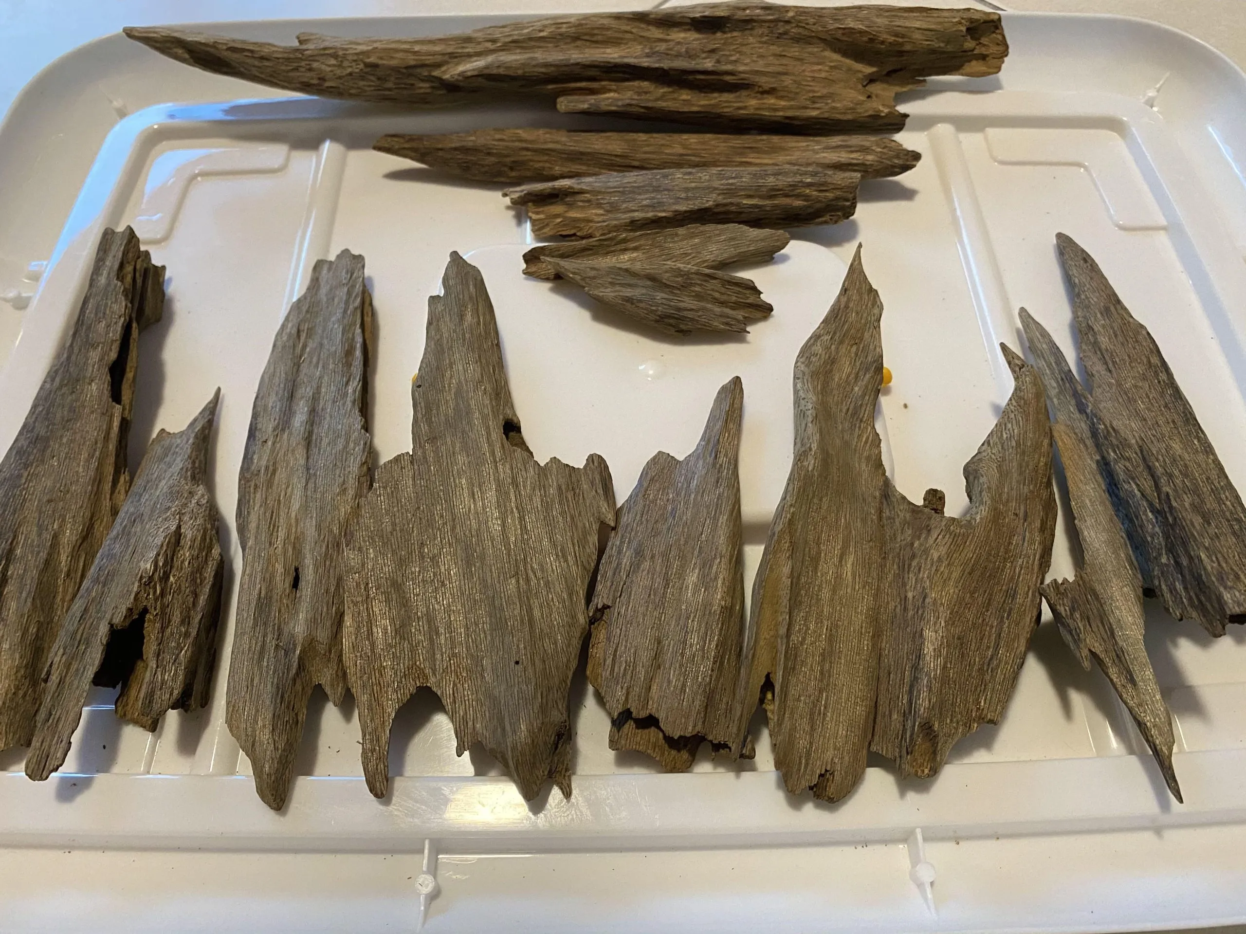 trầm hương malaysia 1