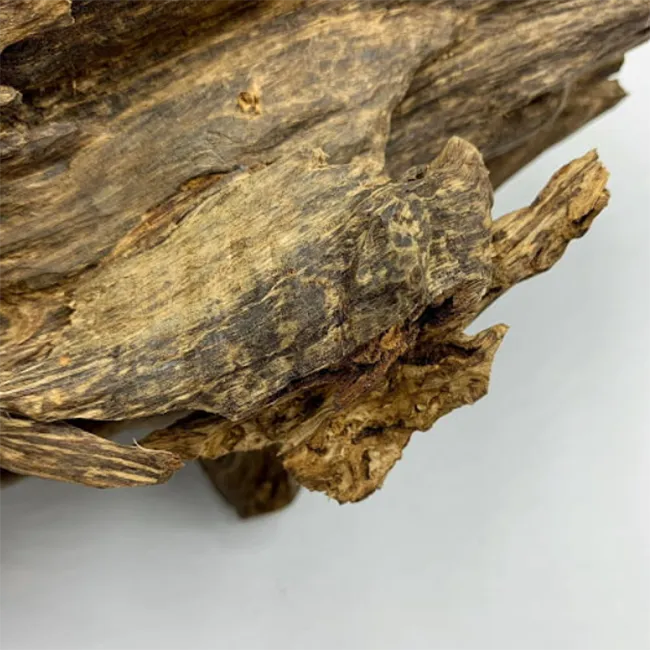 Những miếng gỗ trầm hương tự nhiên được khai thác và giữ nguyên hình dáng mộc mạc