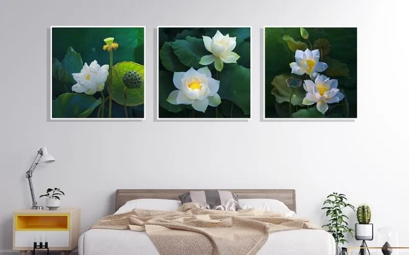 Hoa sen trắng giúp không gian căn phòng thêm nhẹ nhàng, thư giãn