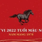 Tử vi năm 2022 tuổi Mậu Ngọ nam mạng 1978 mang tính bước ngoặt